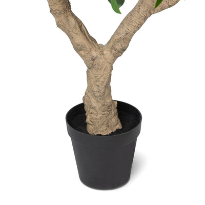 Faux Orange Tree with Weighted Black Pot, 98"