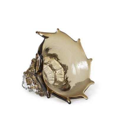 Lagoon Glass Seashell, Sandy Tan
