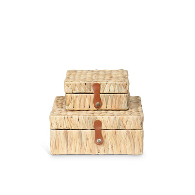 Island Palm Decorative Boxes, Set of 2