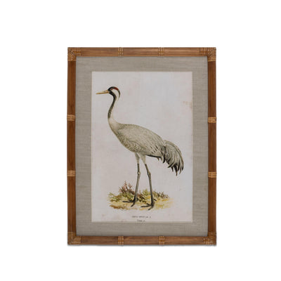 Wading Bird Prints, Set of 4
