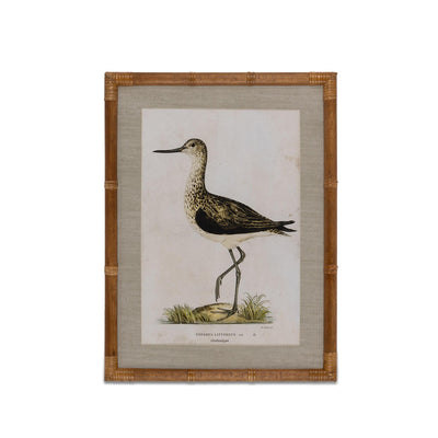 Wading Bird Prints, Set of 4