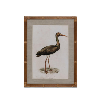 Wading Bird Prints, Set of 4