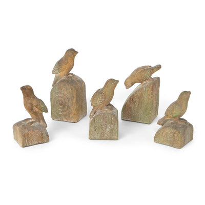 Song Bird Relics, Set of 5, Assorted Sizes
