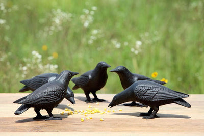 Cast Iron Crows, Set of 2