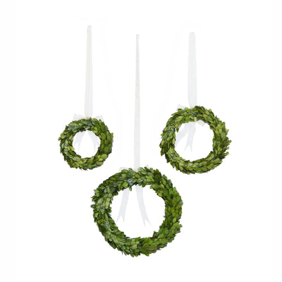 Preserved Boxwood Wreaths with Ivory Ribbon, Set of 3