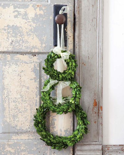 Preserved Boxwood Wreaths with Ivory Ribbon, Set of 3