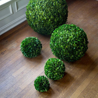 Preserved Boxwood Ball, 16"