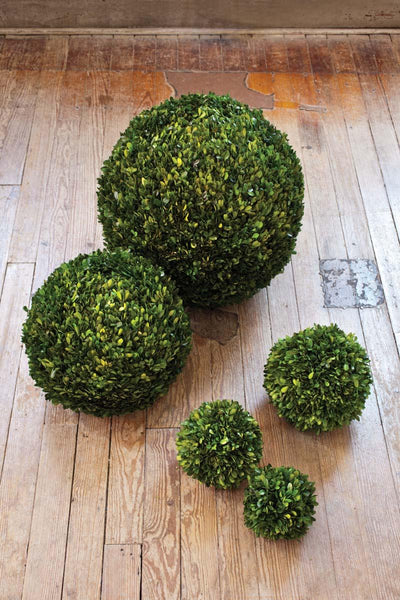 Preserved Boxwood Ball, 21"