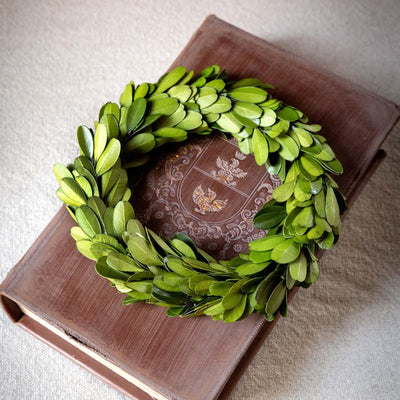 Mini Preserved Boxwood Wreaths, Set of 6
