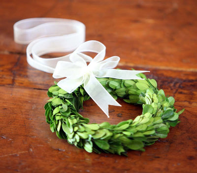 Mini Preserved Boxwood Wreaths, Set of 6