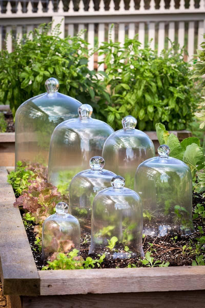 Bell Jar, Large