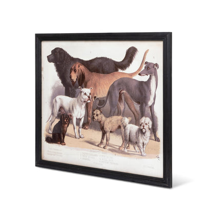 Domestic Dogs Framed Print