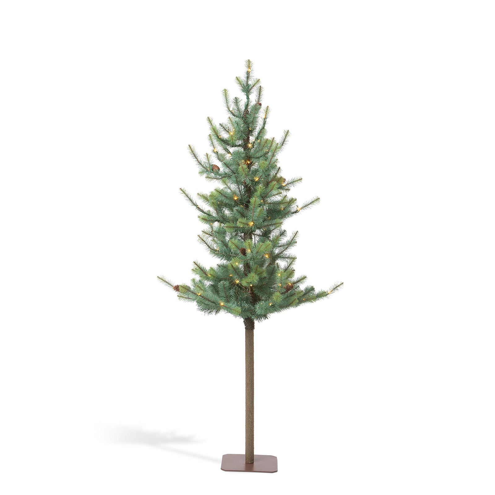 Blue Spruce Alpine Tree, 72"