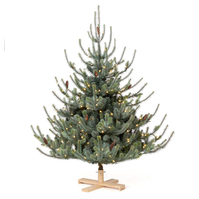 Park Hill Blue Spruce Christmas Tree, 5.5' Tree Lot