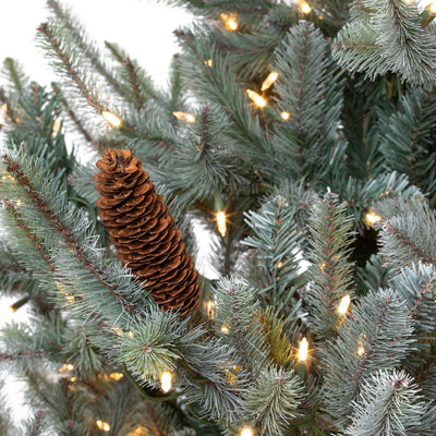 Park Hill Blue Spruce Christmas Tree, 7.5'