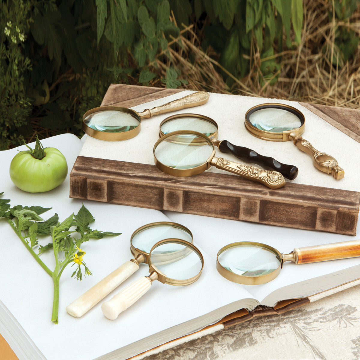 Magnifying Glass Collection, Set of 7, Assorted Styles