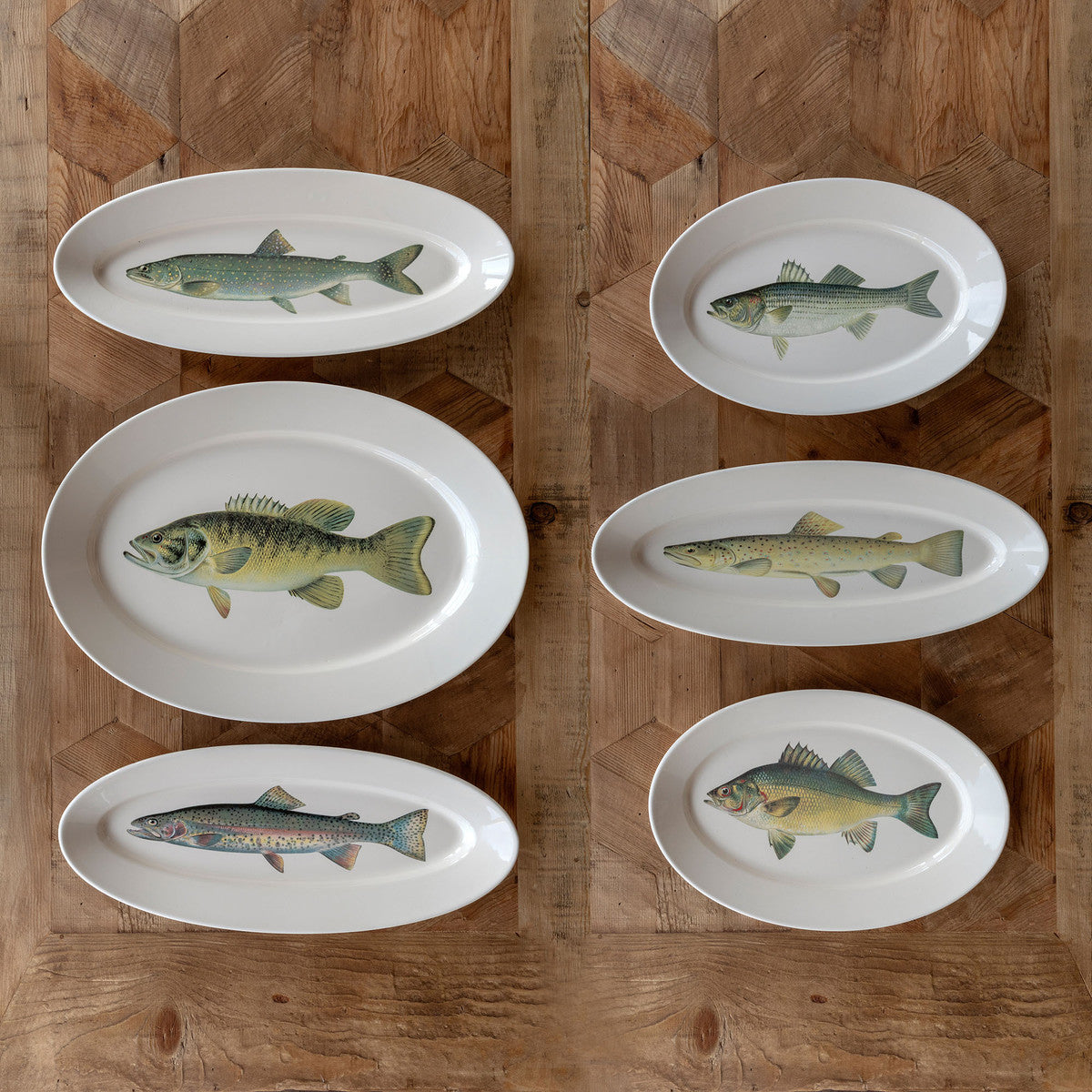 Collected Fish Platters - Set of 6