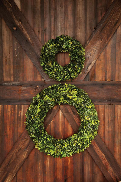 Preserved Boxwood Wreath