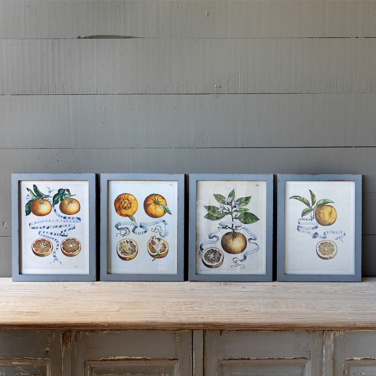 Citrus & Ribbon Framed Prints - Set of 4 Assorted Styles