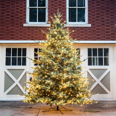12' Faux Blue Spruce Tree with LED