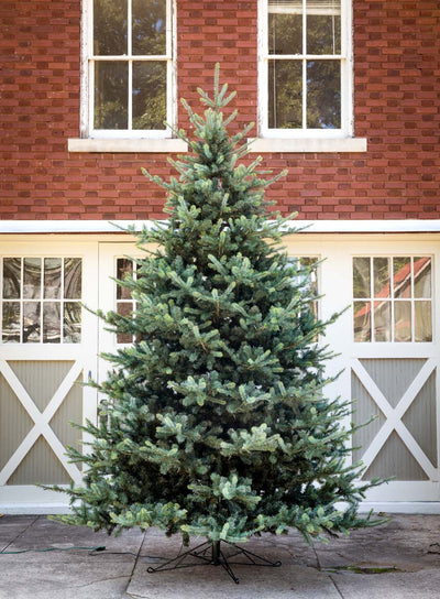 12' Faux Blue Spruce Tree with LED