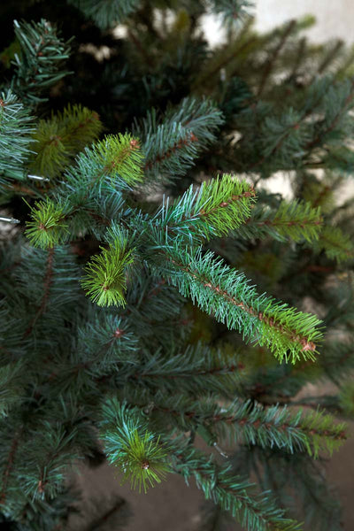 12' Faux Blue Spruce Tree with LED