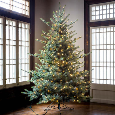 7.5' Blue Spruce LED Clear/Multi-Color Option