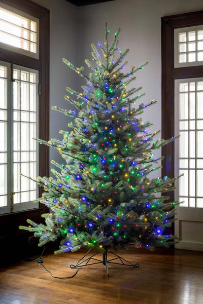 7.5' Blue Spruce LED Clear/Multi-Color Option